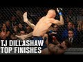 Top Finishes: TJ Dillashaw