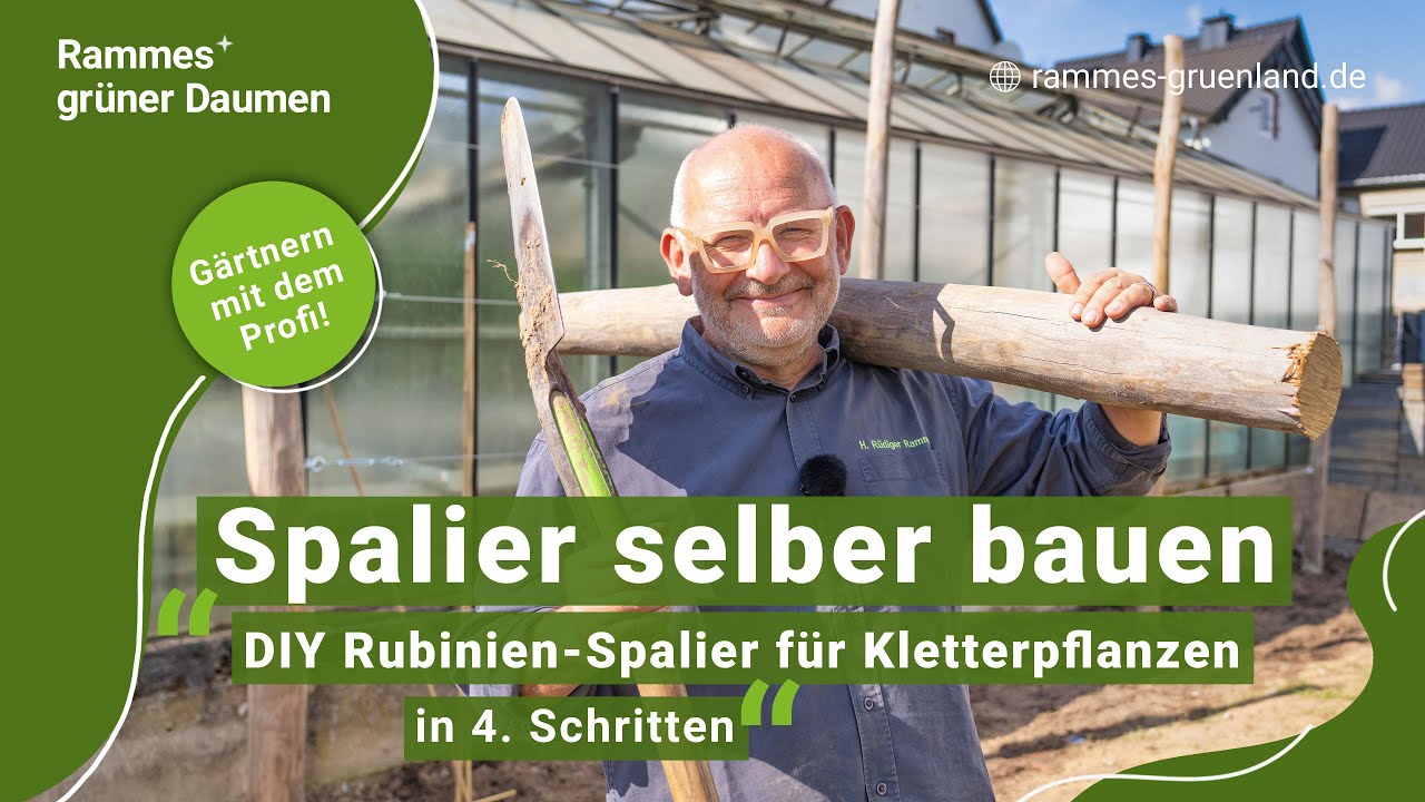 Spalier selber bauen - DIY Rubinienspalier für Kletterpflanzen in 4. Schritten