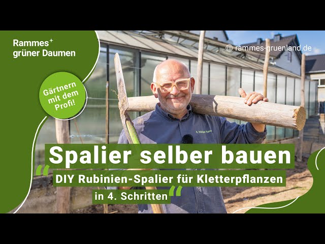 monstera im schlafzimmer Monstera Deliciosa | 70cm | Online kaufen main image 0