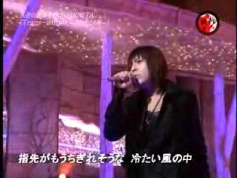 SHOWTA.コメント+Trans winter