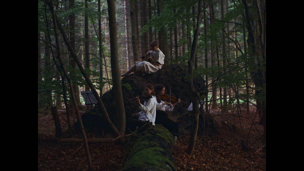 Atli Arnarsson - Fljótandi (live in a forest)