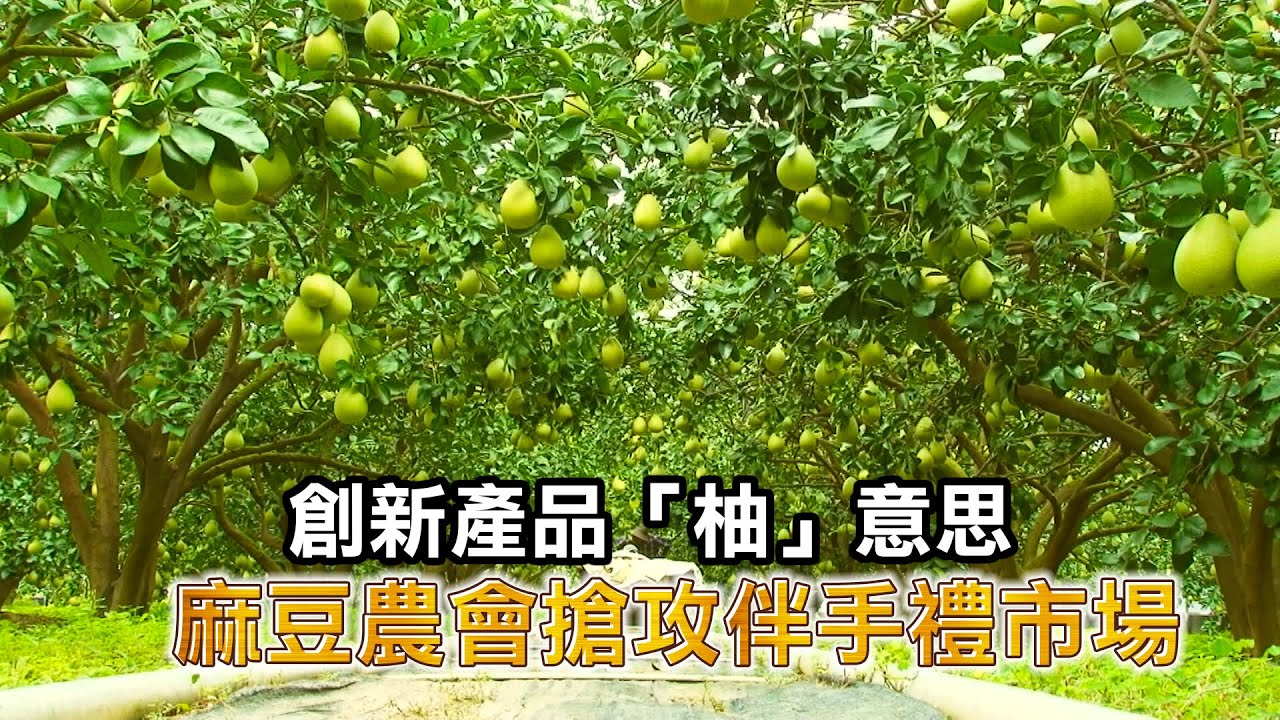 Eye台灣 創新產品 柚 意思麻豆農會搶攻伴手禮市場 Youtube