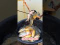 Village catchfishing road side village people catchfishing #fishing #fish #viralvideo