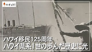 日本人移民 ハワイ・北米大陸 ハワイ日本人移民史 | ハワイ移民資料館 仁保島村 |本 | 通販
