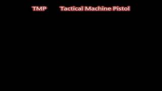 Meaning Of The Slang Word TMP