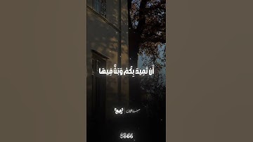 والقى في الارض رواسي ان تميد بكم قران كريم محمد صديق المنشاوي حالات واتس قرانيه