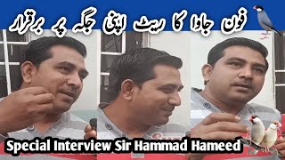 Java Sparrow Business Plan l How To Earn Money From Java Birds l V No 227 Sur Birds Channel