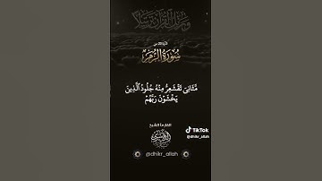 سورة الزمر (23) #سورة_الزمر #راحة_نفسية #المصحف #اكسبلور
