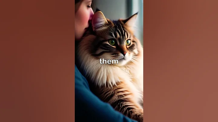 Watch the video about The Siberian Cat...#facts #wildlifecreation #animals #pets