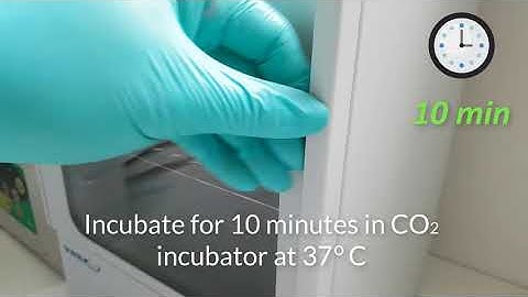 InoMATRIX protocols - Cell removal