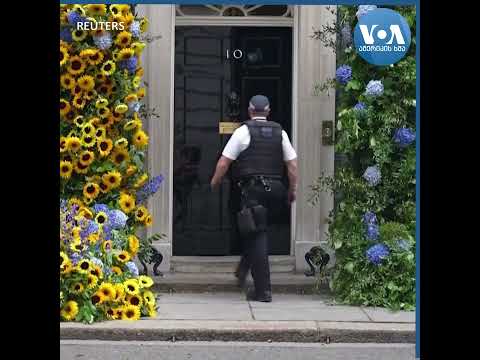 მზესუმზირები ბრიტანეთის პრემიერ-მინისტრის შენობაზე