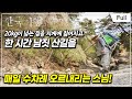 [Full] 한국기행 - 산사의 봄 2부 지금 여기, 머물다