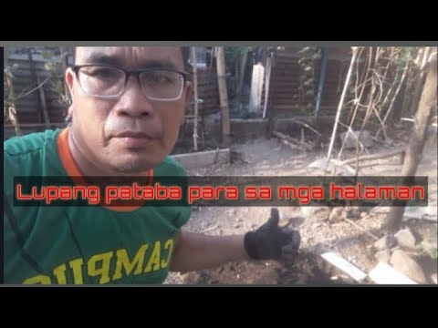 Video: Sa Harap Ng Hardin