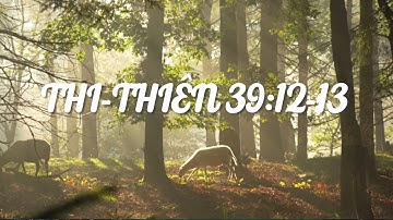 THI-THIÊN 39:12-13 | Timotheos & Trúc Vy | OFFICIAL MUSIC VIDEO