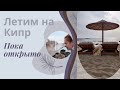 Кипр открыт - тяните сильнее с вашей стороны