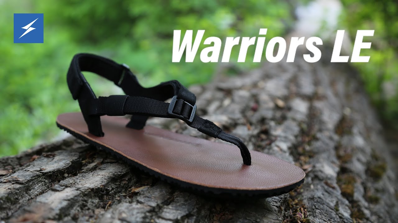 shamma warriors review