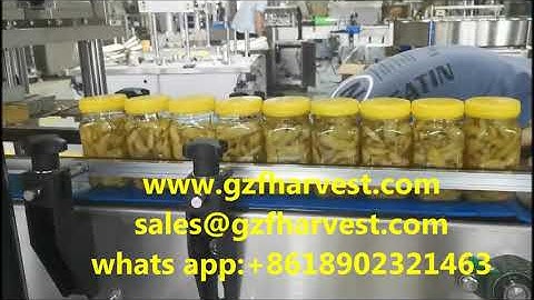 Automatic Capping Machine for Pickled Peppers,Screw Capper equipment,Twist off Cap Machine factory