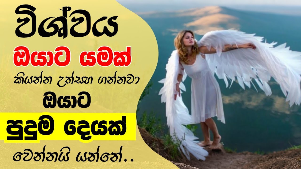 ඔයාට පුදුම සහගත දෙයක් වෙන්නයි යන්නේ.. මේකනම් ආශිර්වාදයක්. අද හරි මේක ලැබුනොත් අනිවාර්යෙන් බලන්න