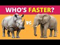 Who’s Faster? 🐾 Fast or Slow Animal Quiz | Test Your Animal Speed Knowledge!