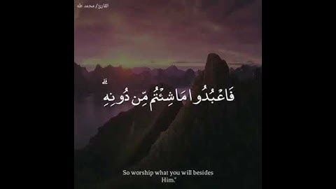 ماتيسر من سورة الزمر ۞ قُلْ إِنِّي أَخَافُ إِنْ عَصَيْتُ رَبِّي عَذَابَ يَوْمٍ عَظِيمٍ ۞