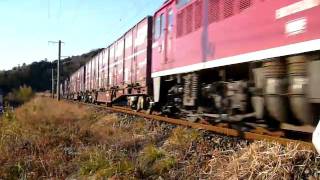 JR貨物 ED75‐113牽引による93列車 常磐線 四ツ倉~久ノ浜にて