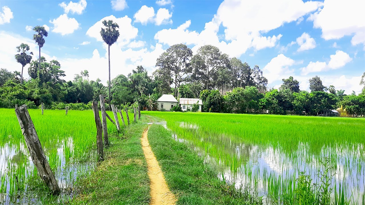 Walking Tour In Cambodia At Sras Srang Village In Siem Reap Countryside, Travel 2025 | Sumsooth