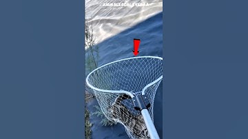 DO NOT CLICK THE SOUND BOHOHOHO #artinwood #memeedit #crazilyfunny #actingchallenge #tepukkartu