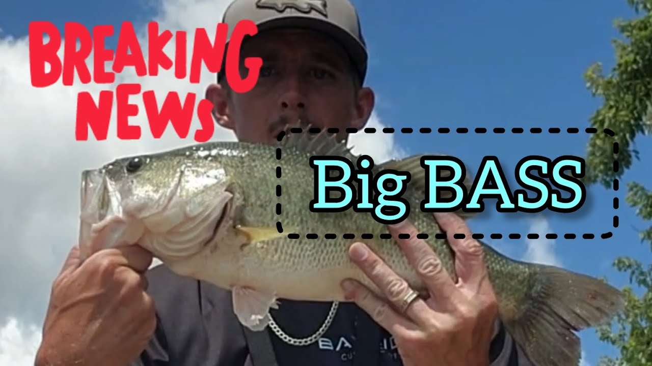 Post Spawn Bass Fishing Areas #bassfishing #13fishing #zoombaits