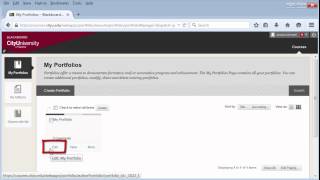 Blackboard Portfolio Overview