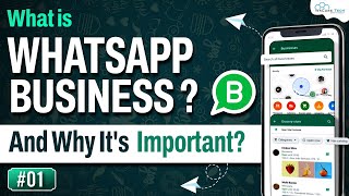 WhatsApp Business Kya Hai? Explained in 5 Minutes | How To USE &amp; Importance? 2024 in HINDI