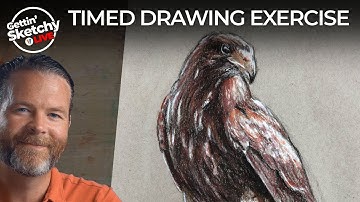 Draw a Hawk in 45 Minutes - Gettin