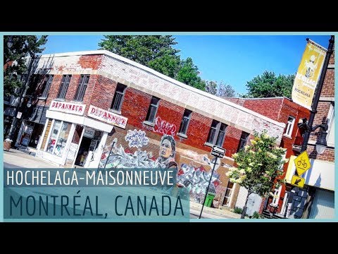 Video: Stručný Průvodce Oblastí Montreal