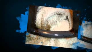 Carpet Cleaning Supplies Dallas TX Call (214) 404-2925