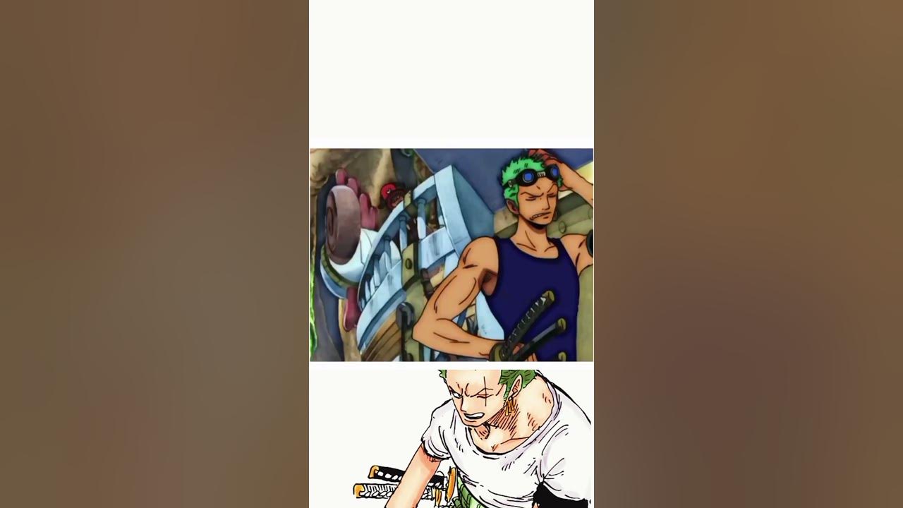 O ZORO PROVA SER PAÍ DO CHOPPER #shorts 