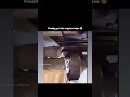 Habibi the Original technologia technológia habibi technology memes meme funny tech mp3