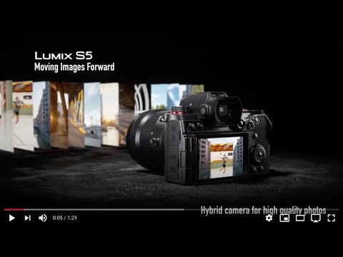 Lumix S5 Introduction by Mark Toal