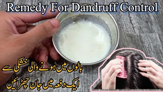 What Is Dandruff Causes & Treatment | How To Treat Dandruff At Home | Hair Care Tips | Home Remedy