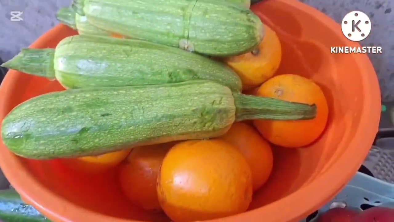 ١٧ فبراير ٢٠٢٦