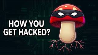 How Hackers Steal Your Password, Explained with Mushrooms News