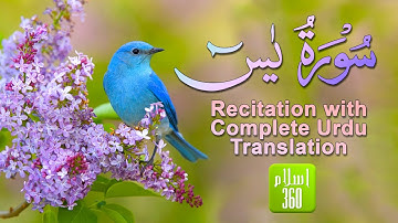 Surah Yasin (Ya-Seen) With Urdu Translation | سورة يس اردو ترجمہ کے ساتھ