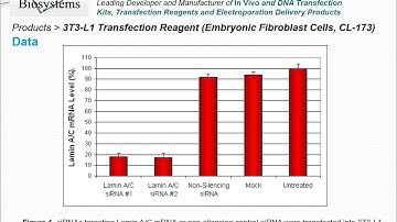 Altogen Biosystems 3T3-L1 Transfection Reagent