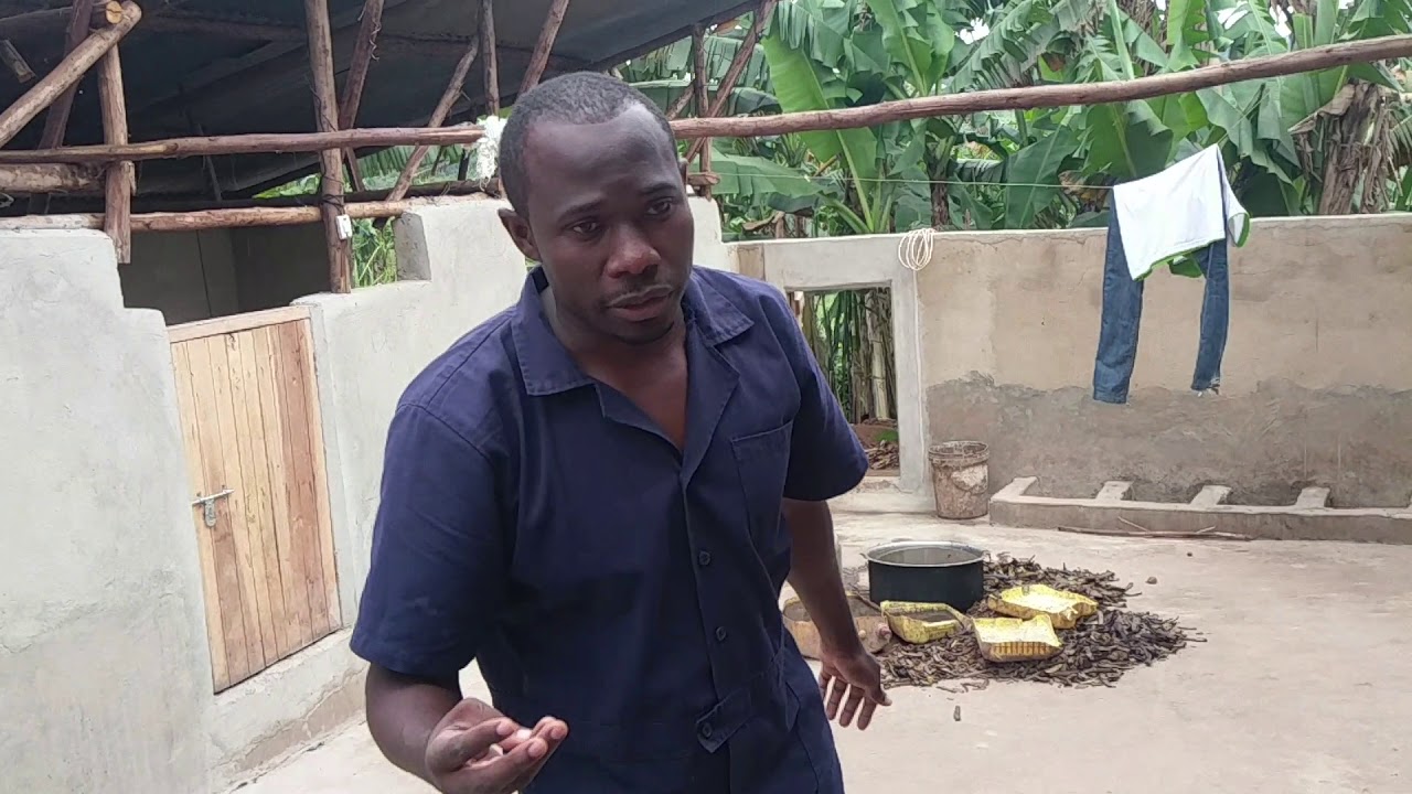 Pig Farming In Uganda