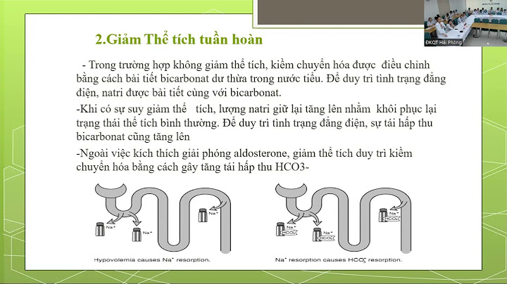 Kiềm chuyển hóa thì thận tái hấp thu hco3 năm 2024