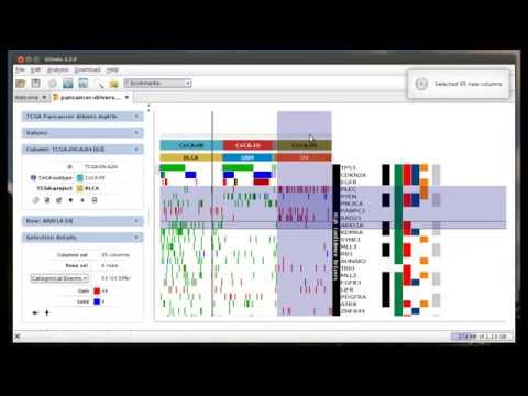 Sorting and stratifying heatmaps in Gitools (TCGA genomics alteration data)