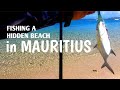Shore casting  fishing a secret beach in mauritius  ep 5