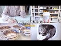 Tokyo diaries🇯🇵psychology student in Tokyo🌥new tableware, studying, cooking +more