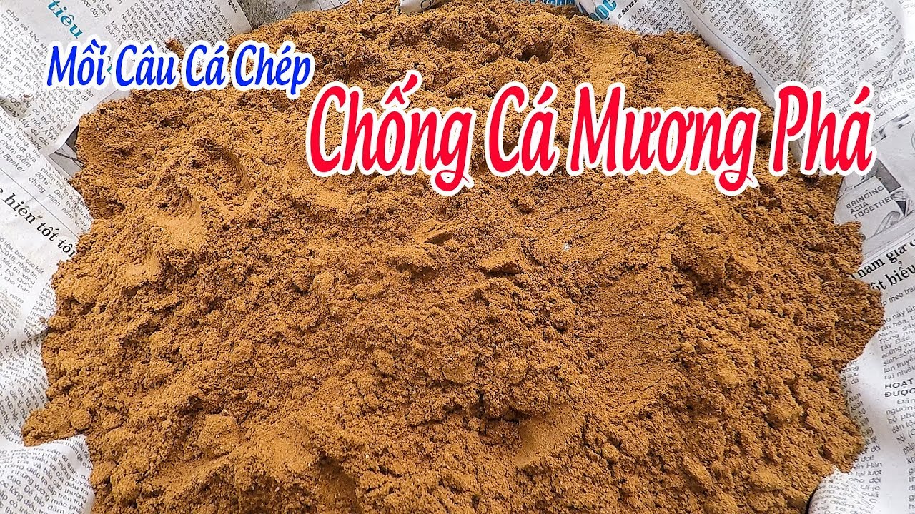Mồi Câu Cá Chép SIÊU NHẠY Và CHỐNG CÁ MƯƠNG PHÁ Cực Tốt - youtube