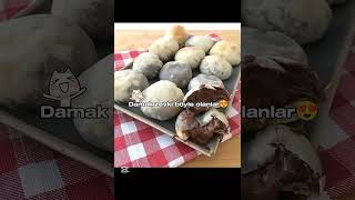 Özellikle Tavuk Döner