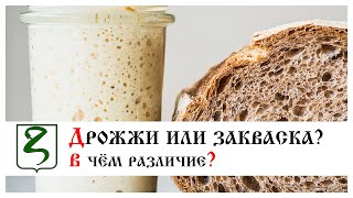 ДРОЖЖИ ИЛИ ЗАКВАСКА?/ В ЧЕМ РАЗЛИЧИЕ?