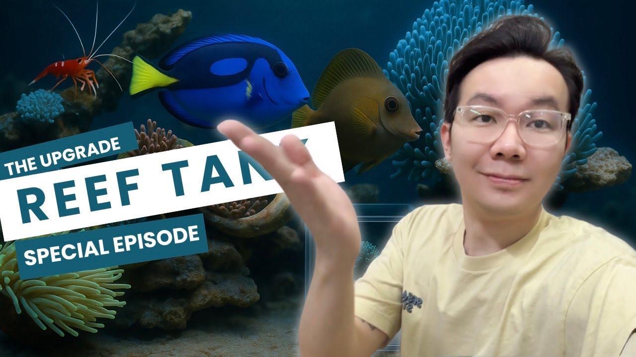 EP71: Reef Tank Upgrade [Special Episode]